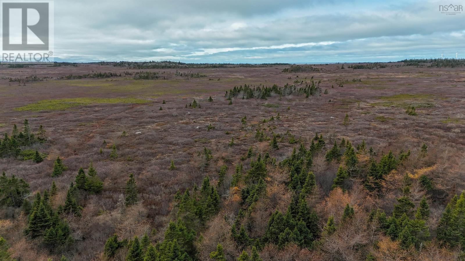 Popes Road, Charlesville, Nova Scotia  B0W 2E0 - Photo 39 - 202521492