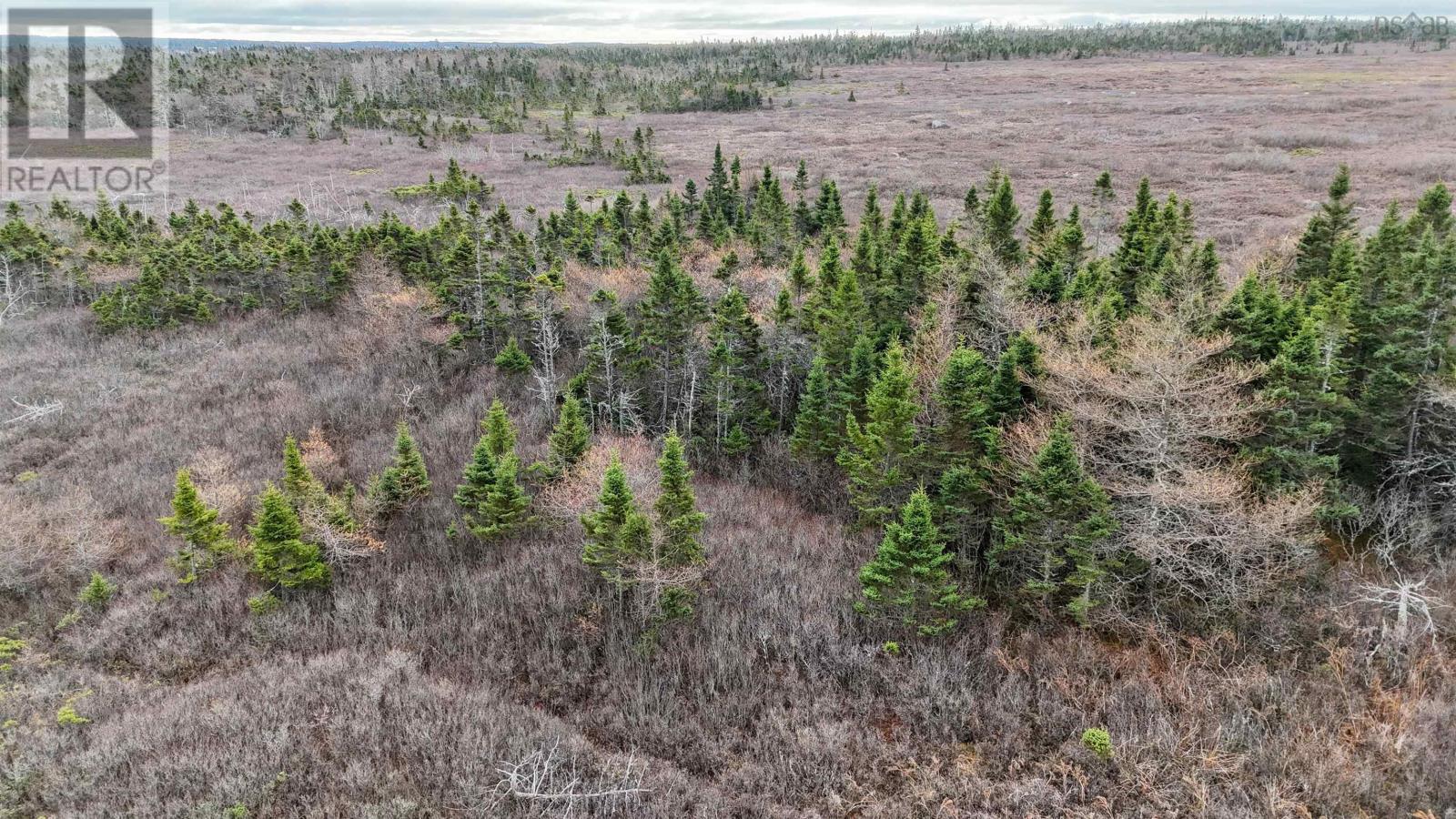 Popes Road, Charlesville, Nova Scotia  B0W 2E0 - Photo 4 - 202521492