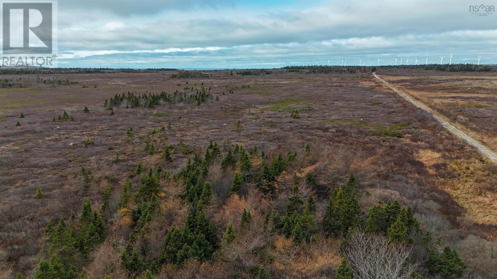 Popes Road, Charlesville, Nova Scotia  B0W 2E0 - Photo 40 - 202521492