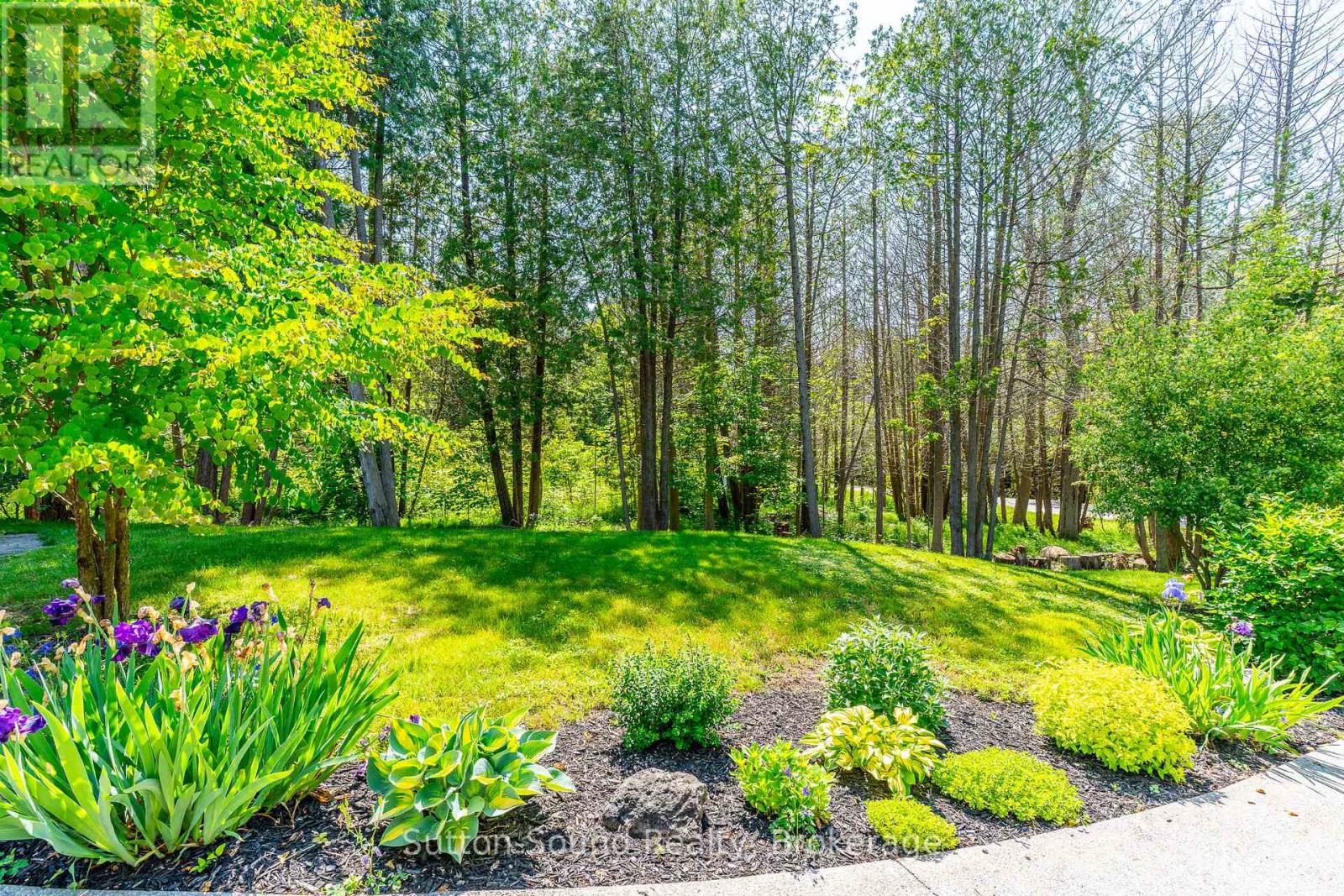 170 Lakeshore Road, Georgian Bluffs, Ontario  N0H 2T0 - Photo 4 - X12362126