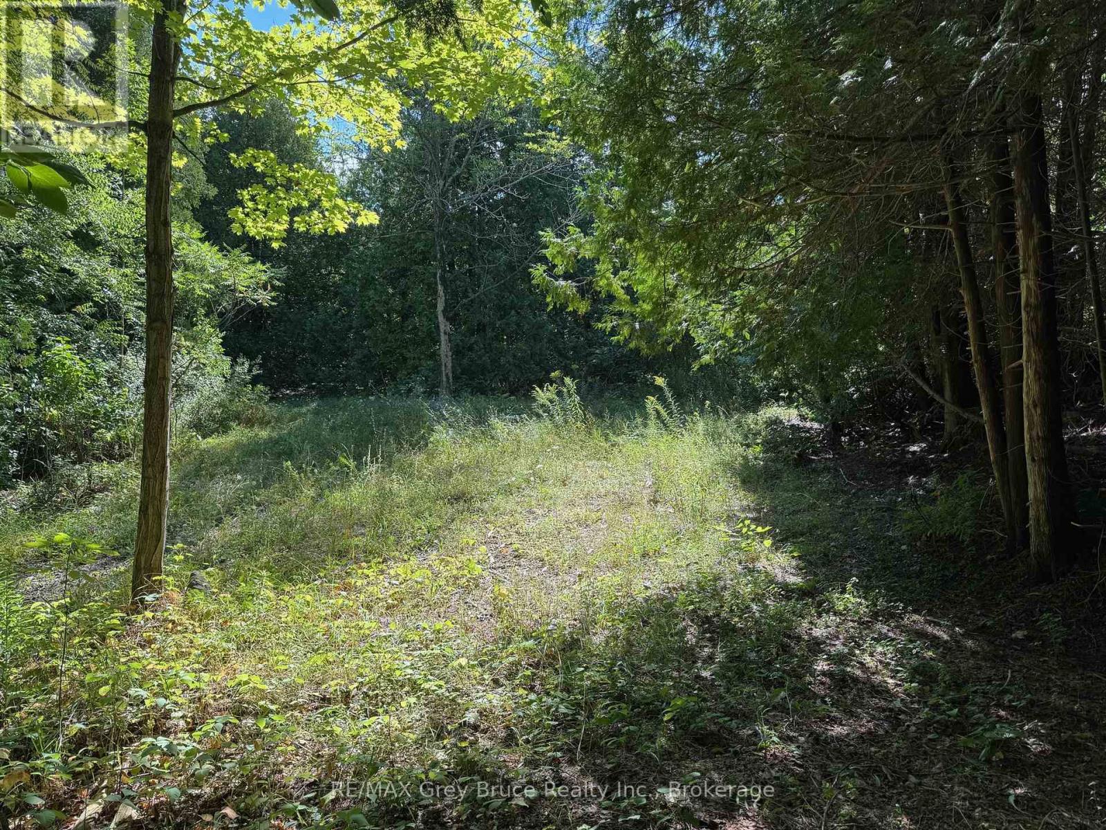 504075 Grey Road 1 Road, Georgian Bluffs, Ontario  N0H 2T0 - Photo 42 - X12355073
