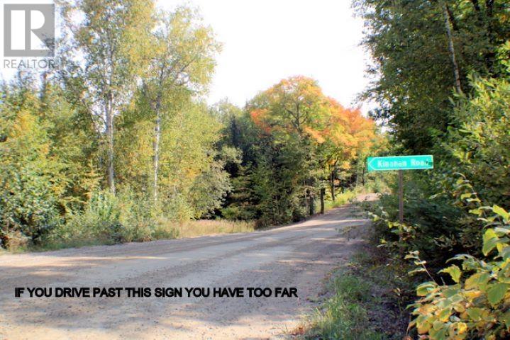 Highway 556 Ranger Lake Rd, Township Of Jollineau, Ontario  P0R 1J0 - Photo 3 - SM242801