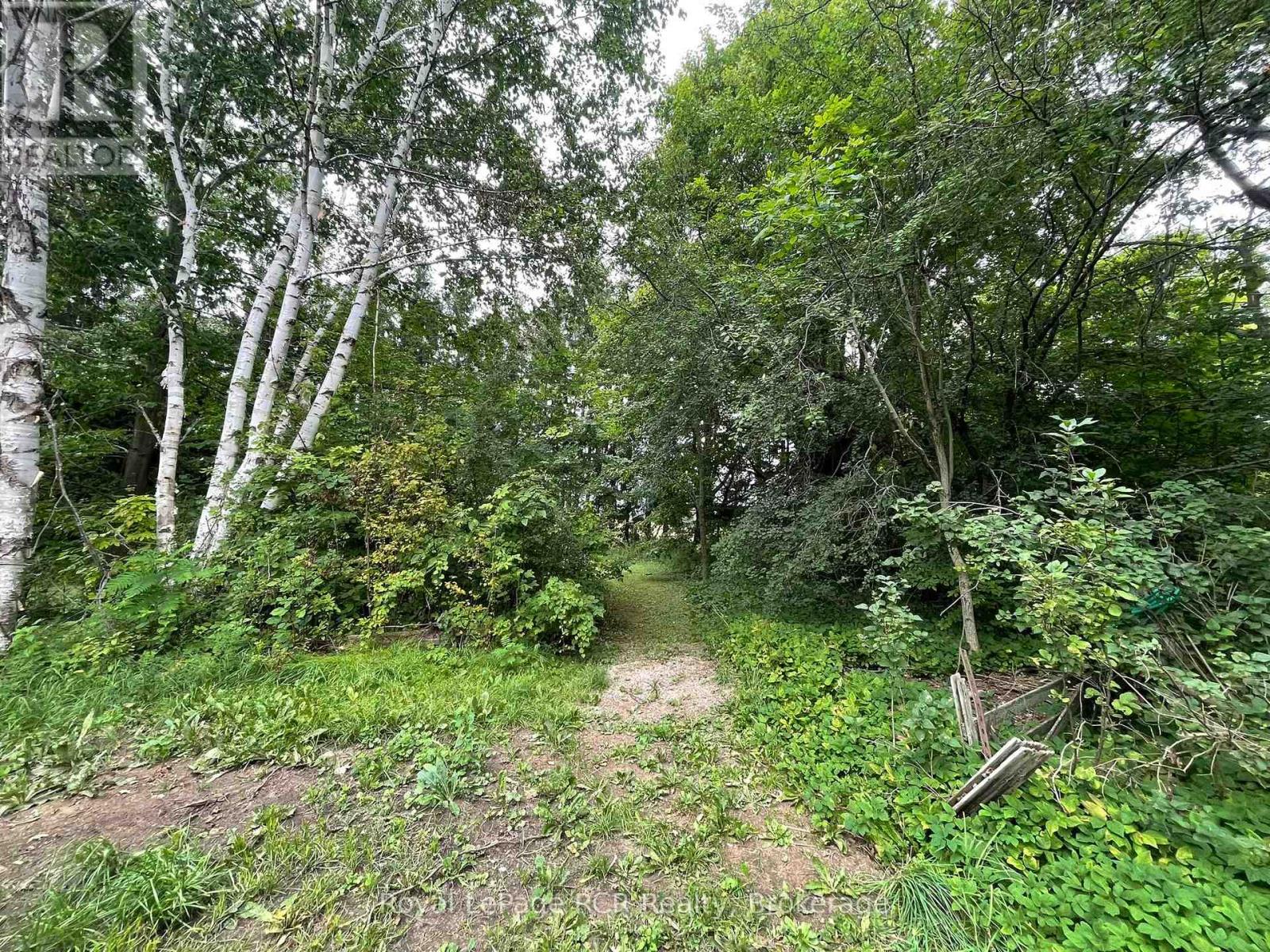 026041 Euphrasia St Vincent Townline, Meaford, Ontario  N4L 1W6 - Photo 29 - X12362223