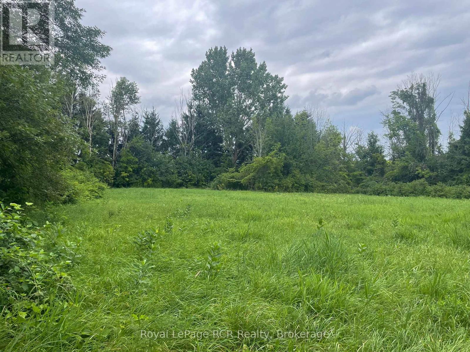 026041 Euphrasia St Vincent Townline, Meaford, Ontario  N4L 1W6 - Photo 3 - X12362223