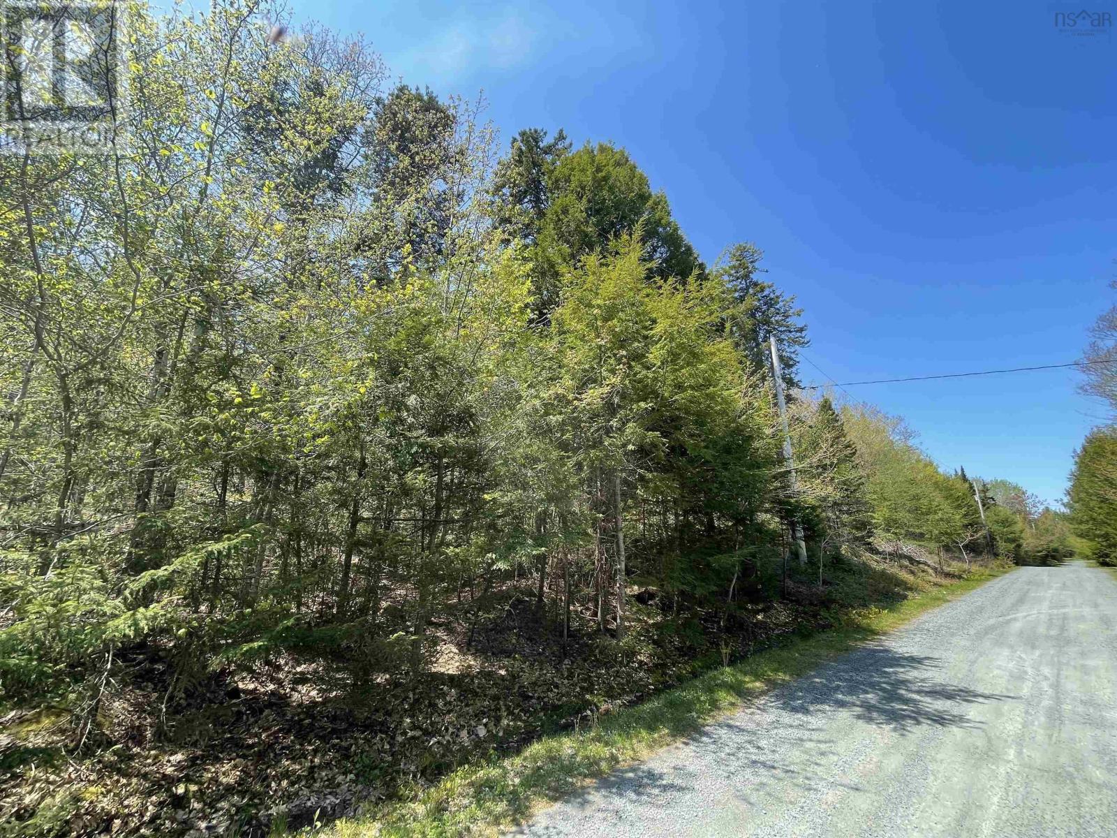 Lot 24 Huber Road, Camperdown, Nova Scotia  B0J 1V0 - Photo 6 - 202510989