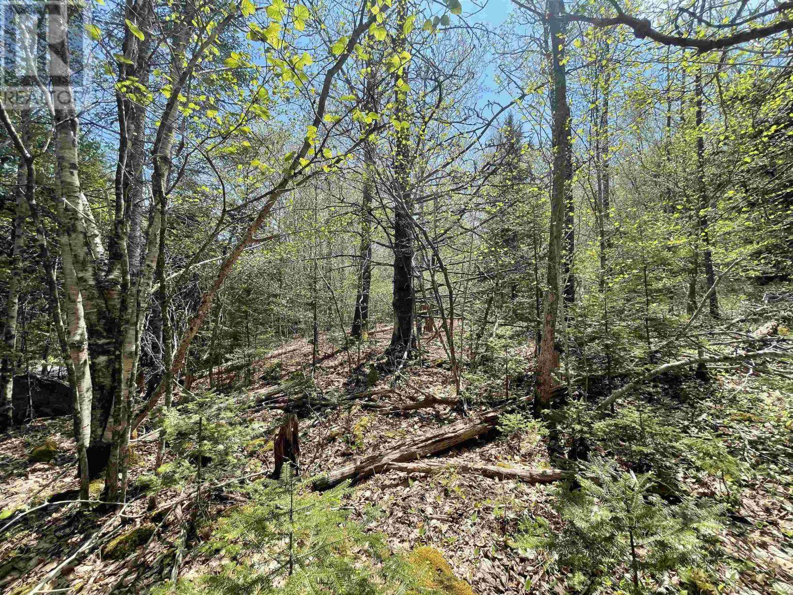 Lot 24 Huber Road, Camperdown, Nova Scotia  B0J 1V0 - Photo 3 - 202510989