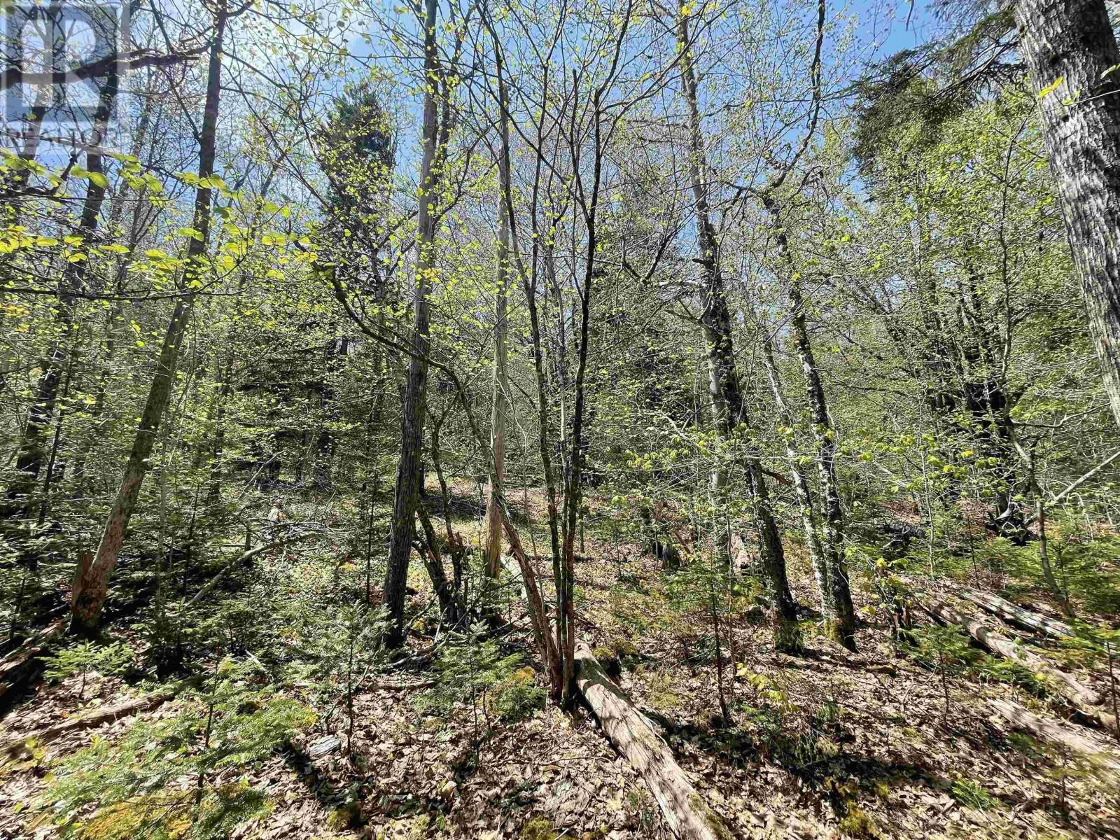 Lot 24 Huber Road, Camperdown, Nova Scotia  B0J 1V0 - Photo 4 - 202510989