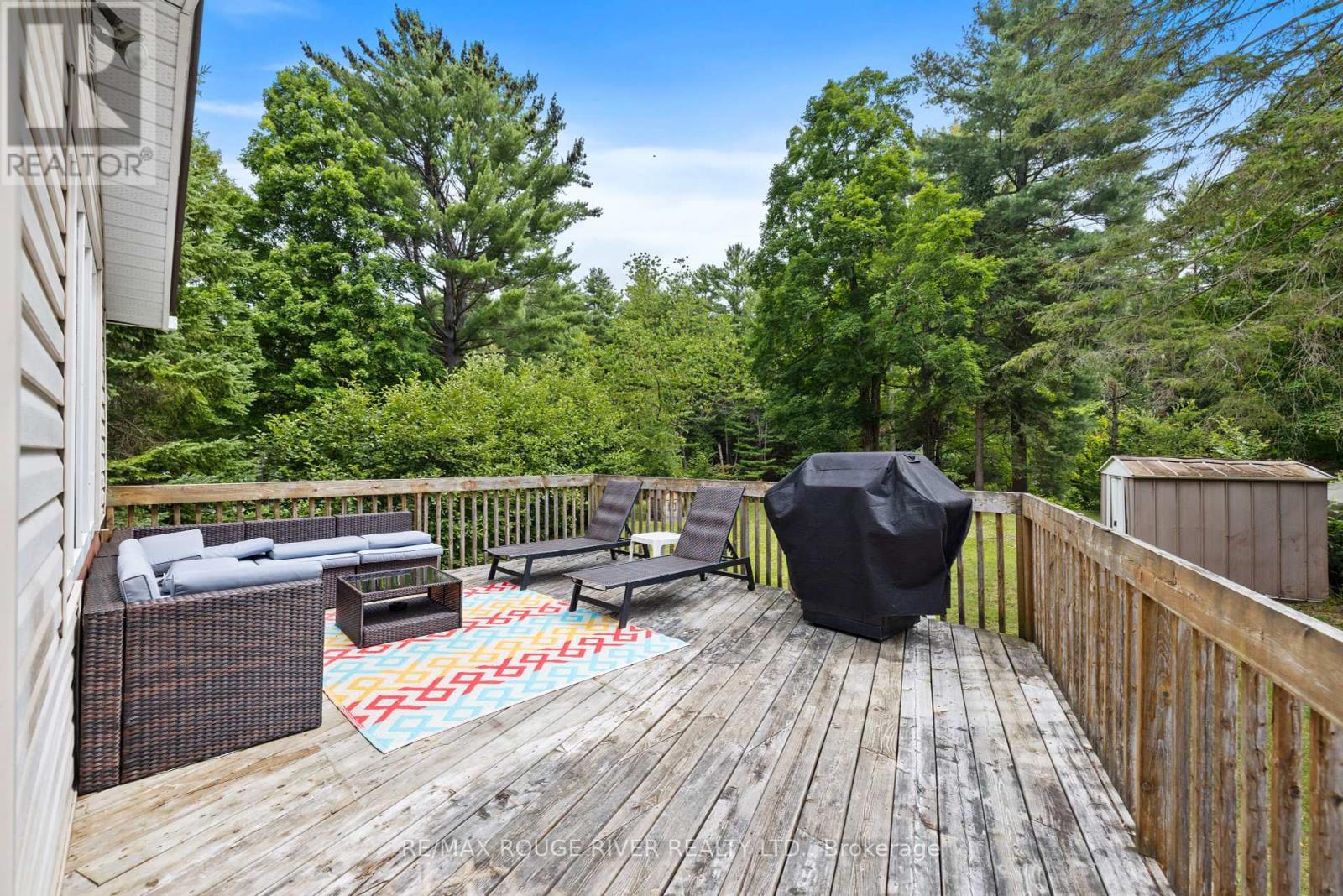 39 Hobo Lane, Hastings Highlands, Ontario  K0L 1C0 - Photo 17 - X12362289