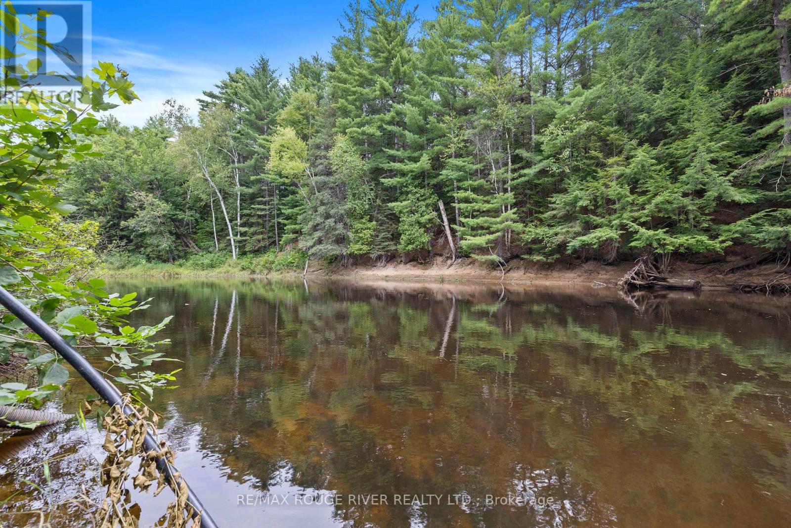 39 Hobo Lane, Hastings Highlands, Ontario  K0L 1C0 - Photo 26 - X12362289