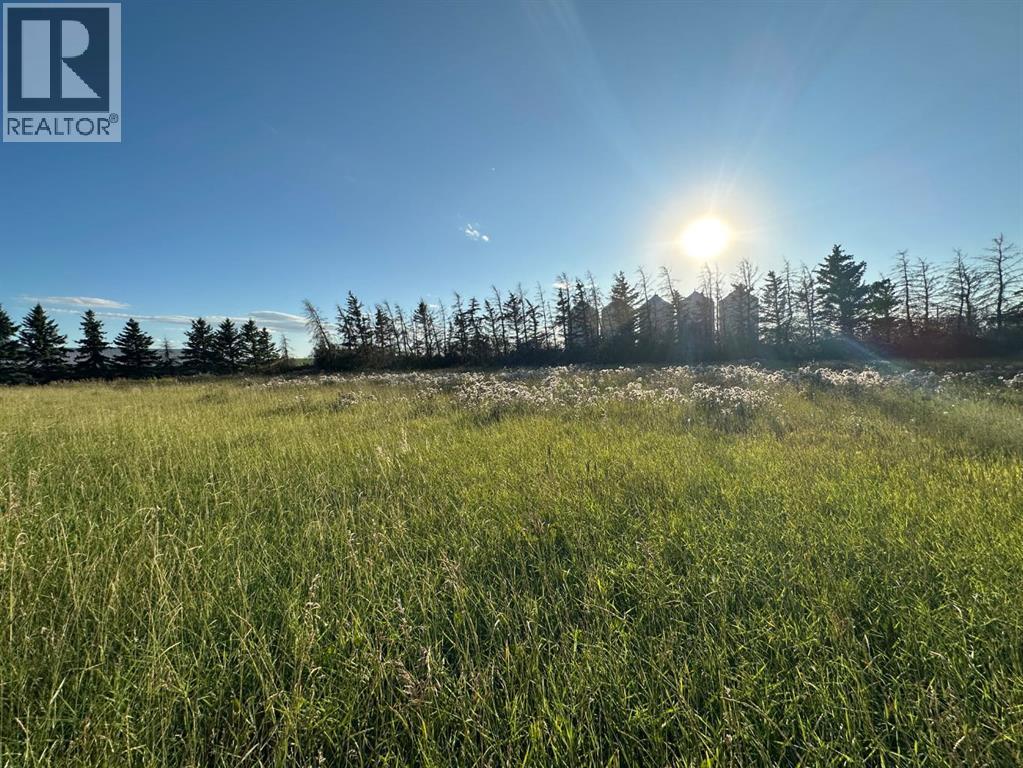 230049 Township Road 314, Rural Kneehill County, Alberta  T0M 2A0 - Photo 48 - A2245019