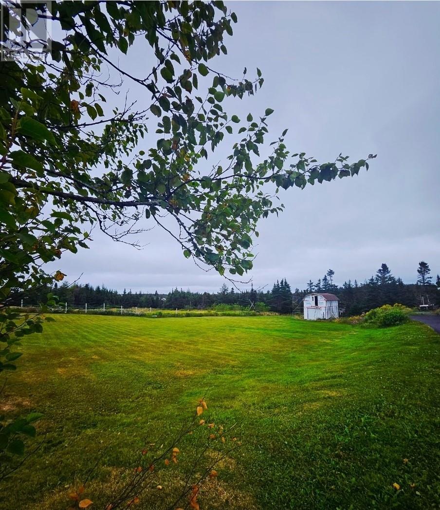 126 Main Road, Markland, Newfoundland & Labrador  A0B 3K0 - Photo 4 - 1289394