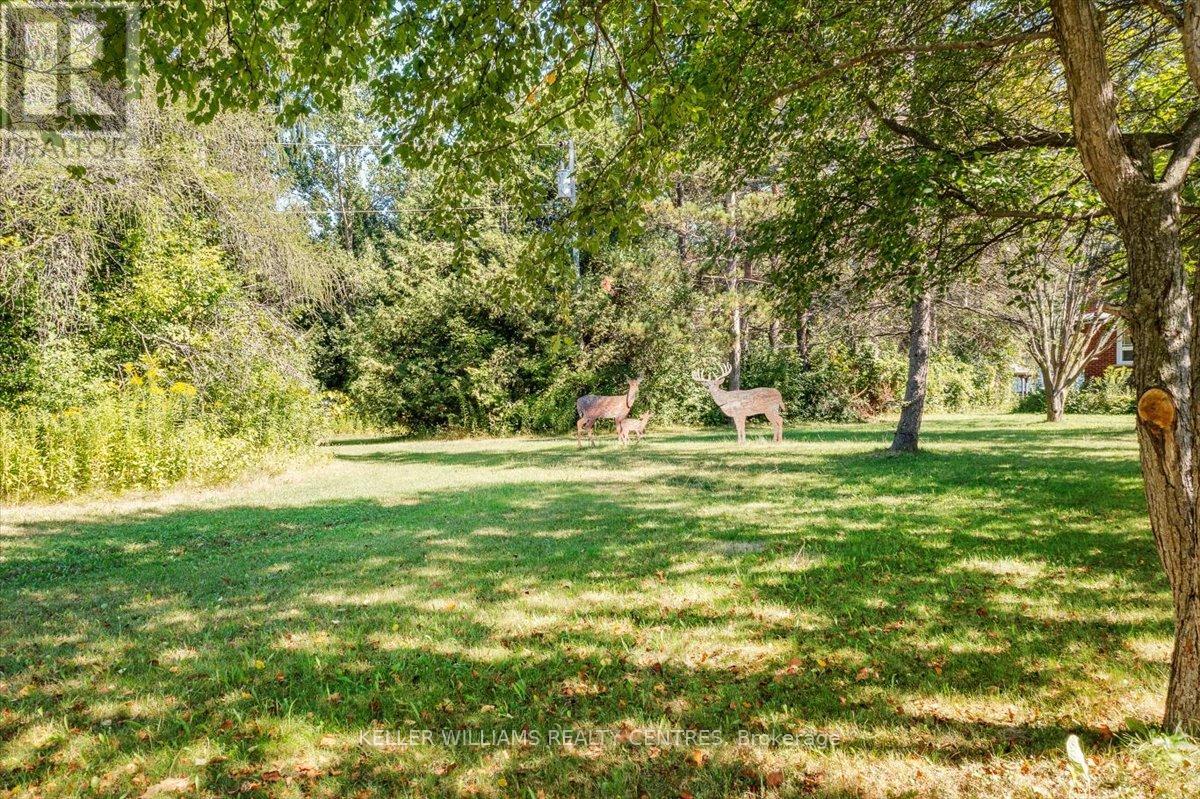 23973 Kennedy Road, Georgina, Ontario  L0E 1R0 - Photo 22 - N12362391