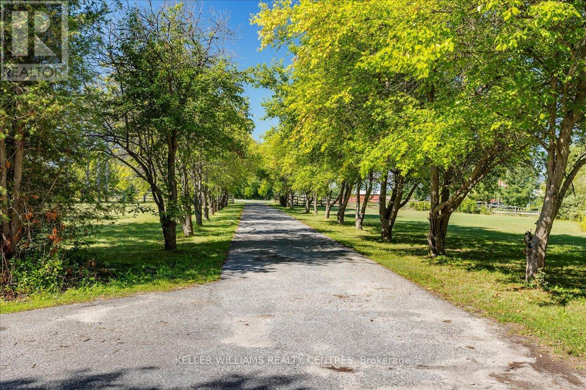 23973 Kennedy Road, Georgina, Ontario  L0E 1R0 - Photo 26 - N12362391