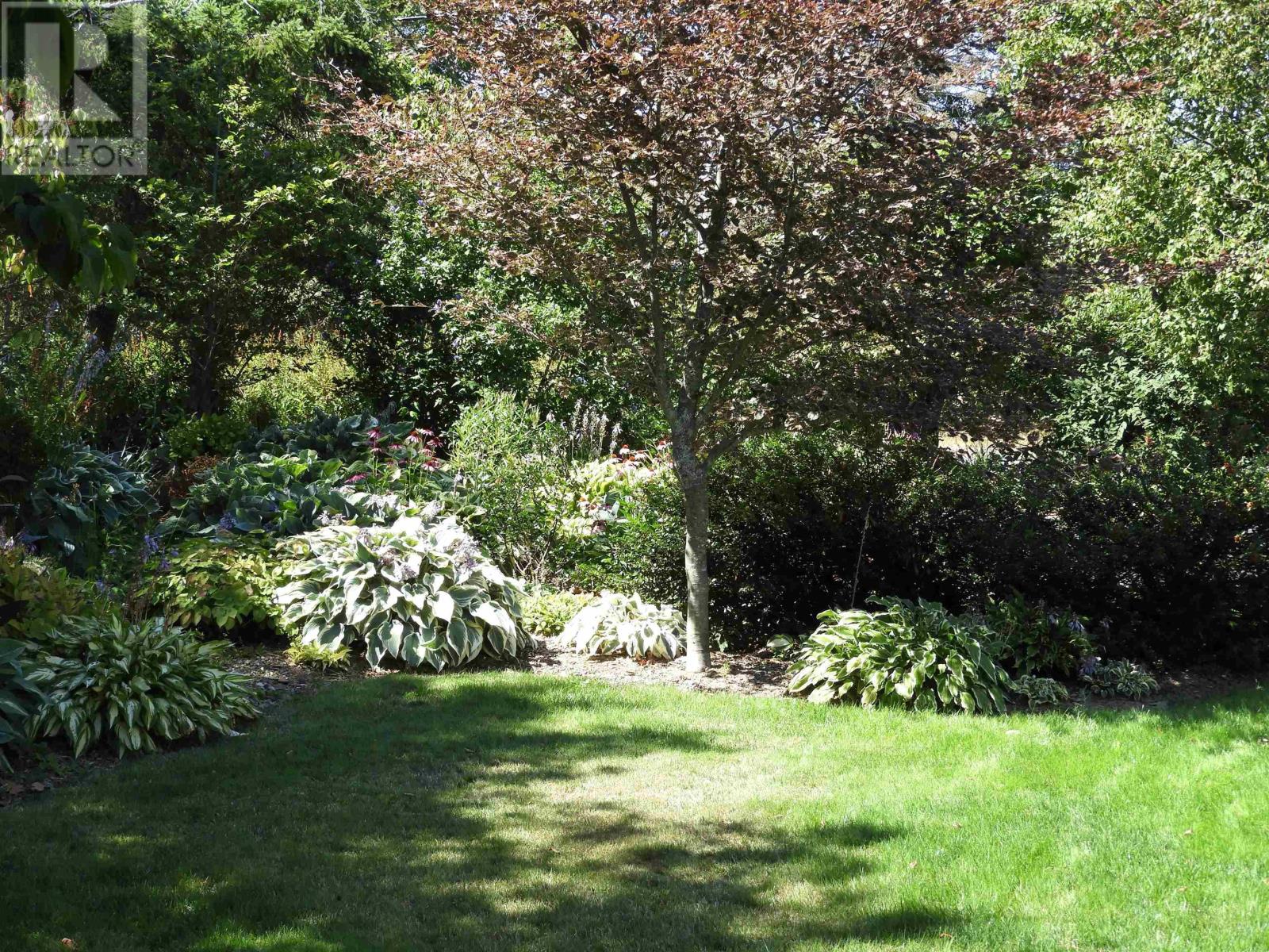 362 Prospect Avenue, Kentville, Nova Scotia  B4N 5R6 - Photo 12 - 202521519