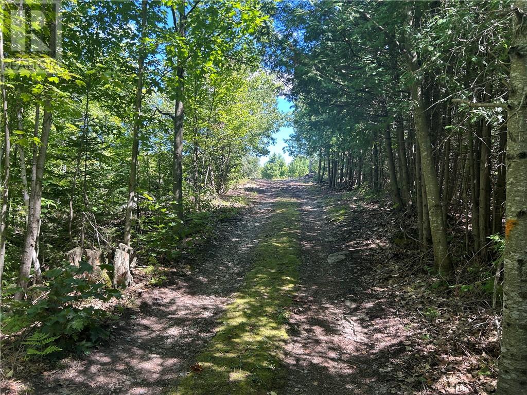 29 Townline Road, Tehkummah, Ontario  P0P 2C0 - Photo 22 - 2124237