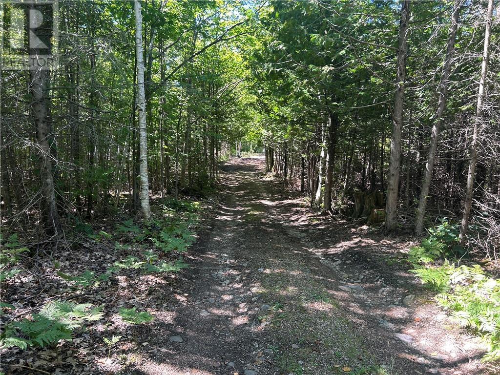 29 Townline Road, Tehkummah, Ontario  P0P 2C0 - Photo 20 - 2124237