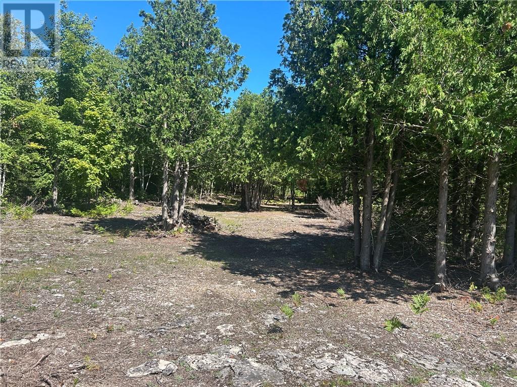 29 Townline Road, Tehkummah, Ontario  P0P 2C0 - Photo 32 - 2124237