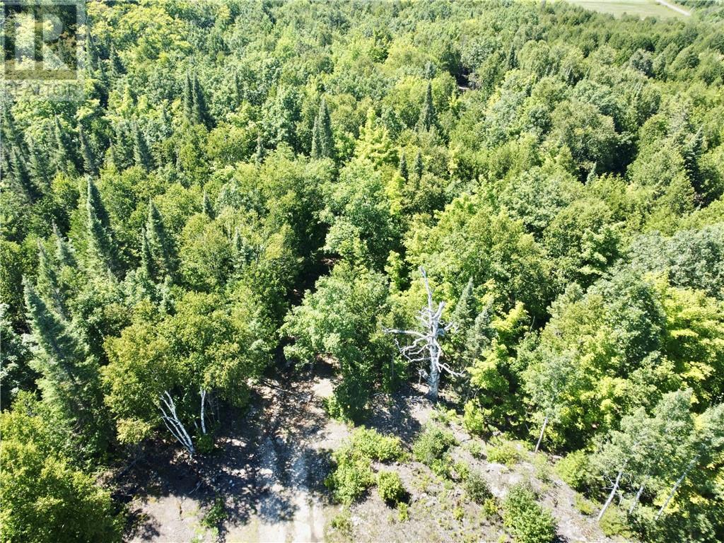 29 Townline Road, Tehkummah, Ontario  P0P 2C0 - Photo 25 - 2124237