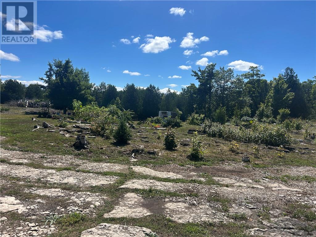 29 Townline Road, Tehkummah, Ontario  P0P 2C0 - Photo 8 - 2124237