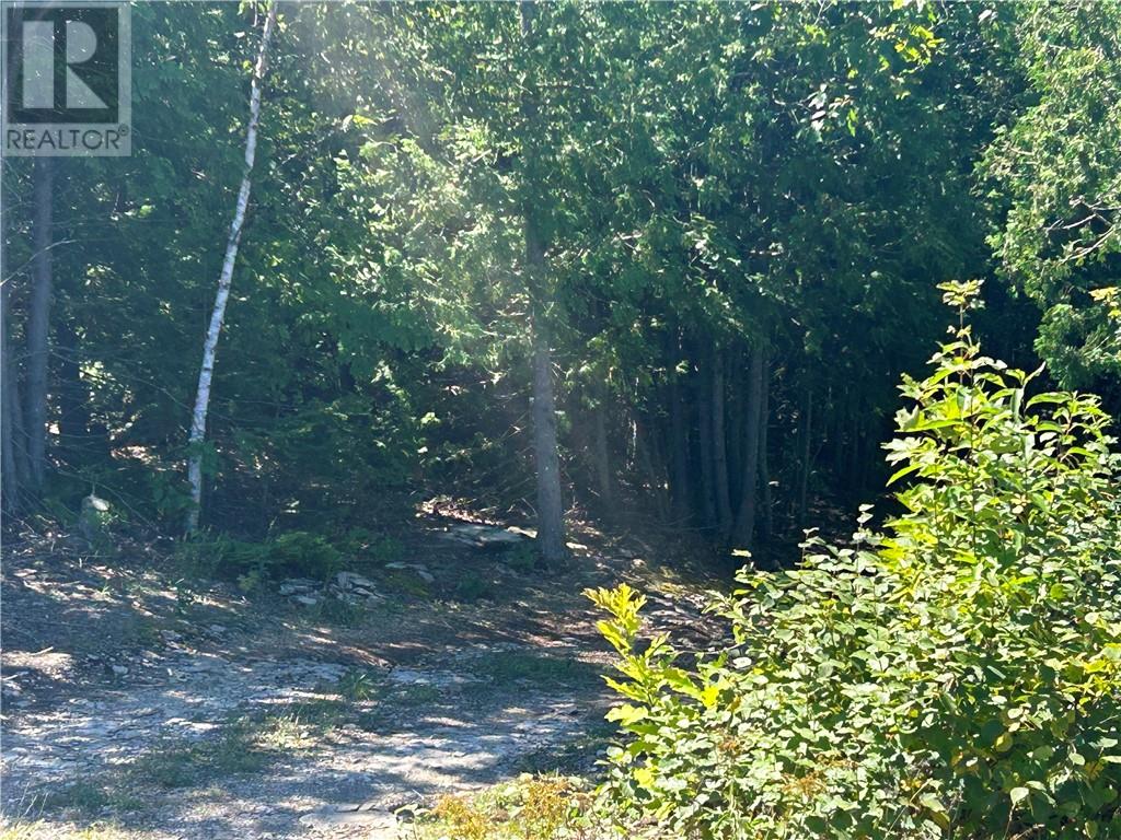 29 Townline Road, Tehkummah, Ontario  P0P 2C0 - Photo 21 - 2124237