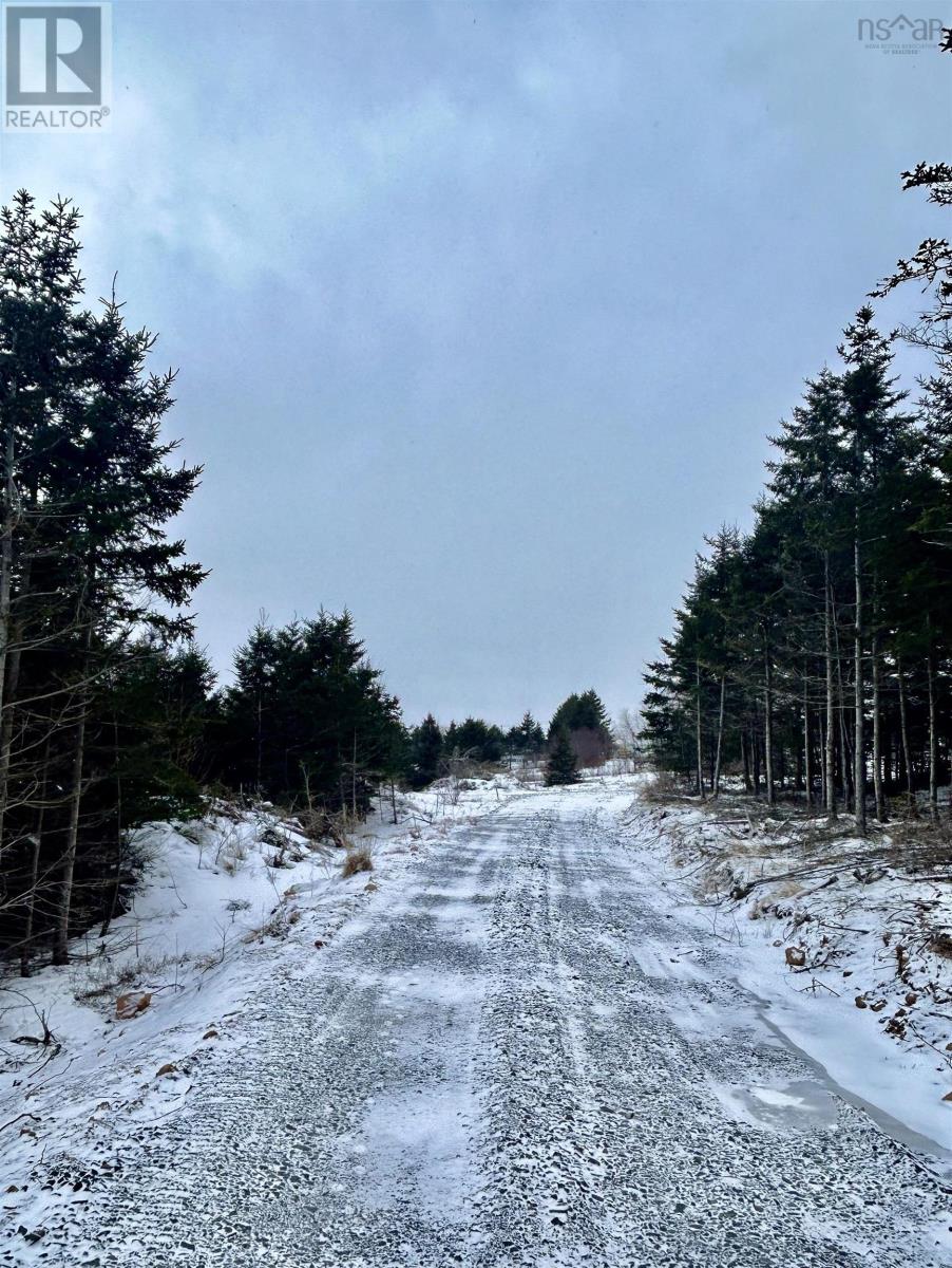 25 Parkdale Crescent, Inverness, Nova Scotia  B0E 1N0 - Photo 25 - 202501590