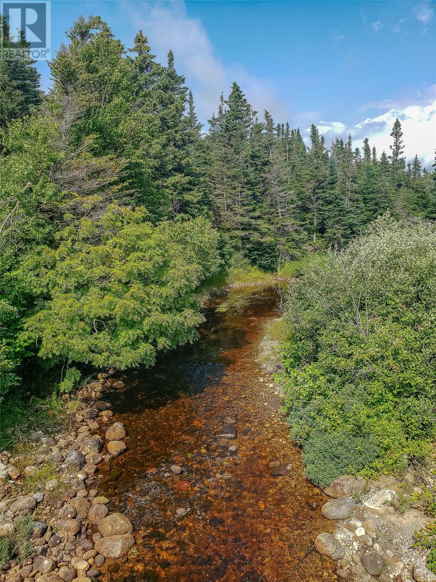 150a Steel Mountain Road, Barachois Brook, Newfoundland & Labrador  A0N 1B0 - Photo 1 - 1288974