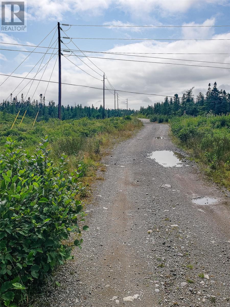 150a Steel Mountain Road, Barachois Brook, Newfoundland & Labrador  A0N 1B0 - Photo 3 - 1288974