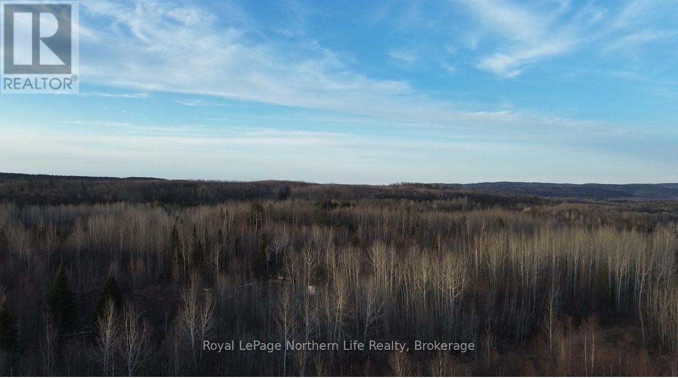 Pt Lt 30 Con 14, Papineau-Cameron, Ontario  P0H 1V0 - Photo 4 - X12311595