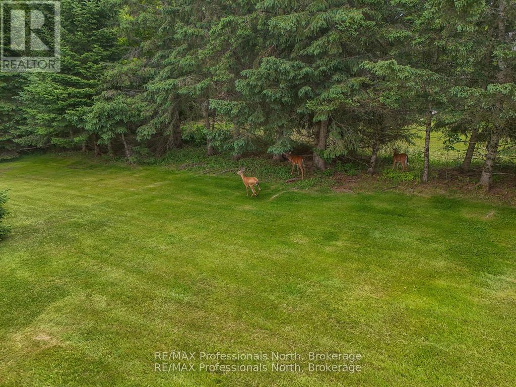 1287 Golden Beach Road, Bracebridge, Ontario  P1L 1C5 - Photo 44 - X12272935