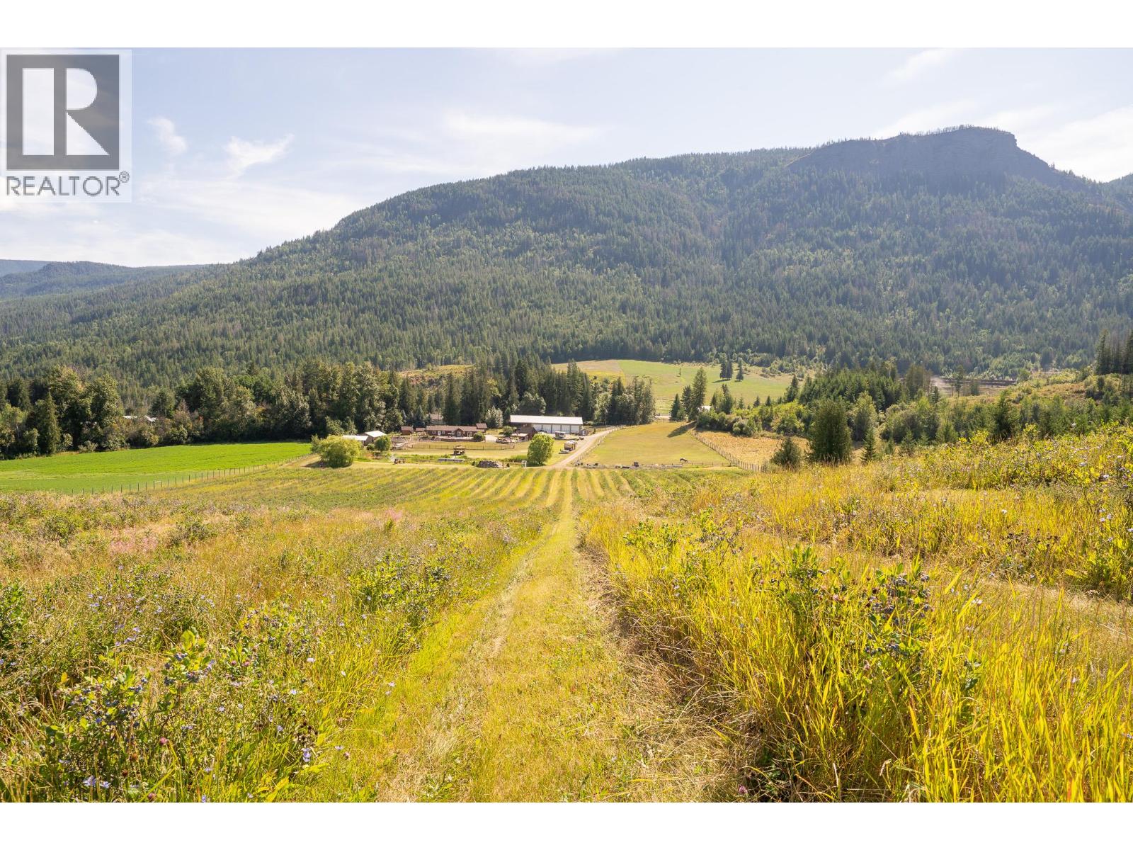 184 Monks Road, Grindrod, British Columbia  V0E 1Y0 - Photo 10 - 10359146