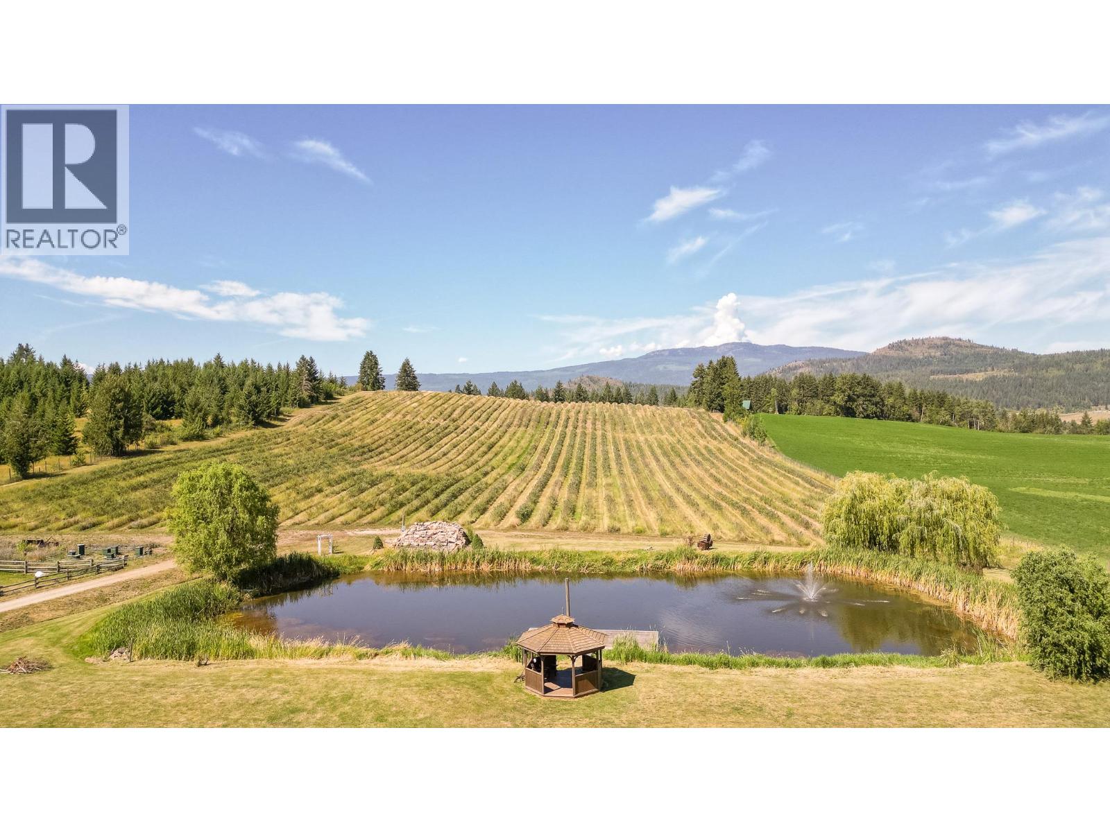 184 Monks Road, Grindrod, British Columbia  V0E 1Y0 - Photo 7 - 10359973