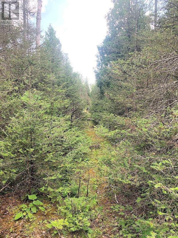 Pl14c11 Mills Watts Lake Road, Evansville, Ontario  P0P 1E0 - Photo 10 - 2123735