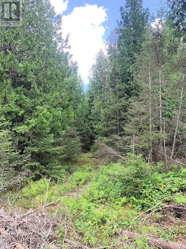 Pl14c11 Mills Watts Lake Road, Evansville, Ontario  P0P 1E0 - Photo 11 - 2123735