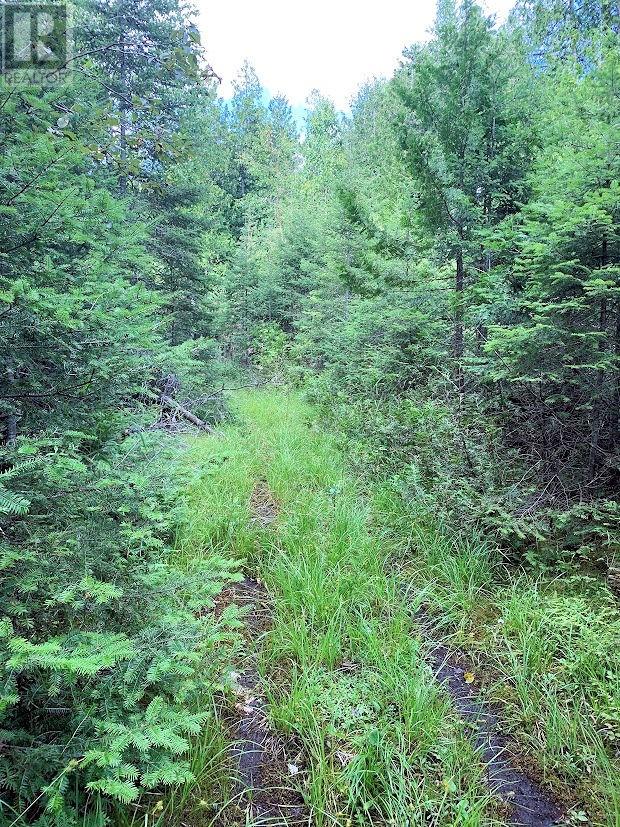 Pl14c11 Mills Watts Lake Road, Evansville, Ontario  P0P 1E0 - Photo 12 - 2123735