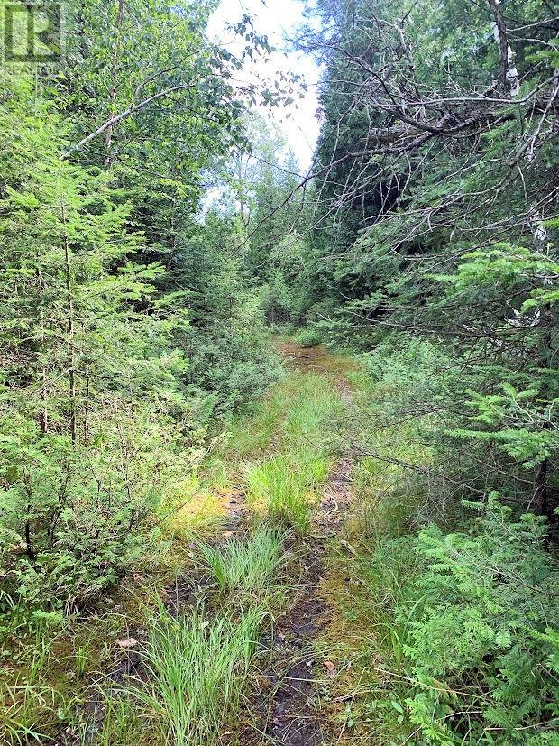 Pl14c11 Mills Watts Lake Road, Evansville, Ontario  P0P 1E0 - Photo 13 - 2123735