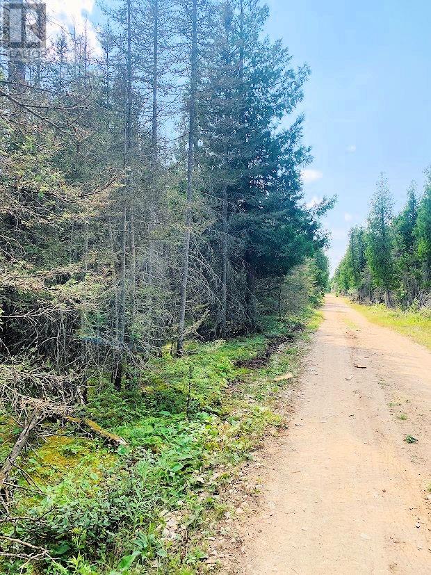 Pl14c11 Mills Watts Lake Road, Evansville, Ontario  P0P 1E0 - Photo 7 - 2123735