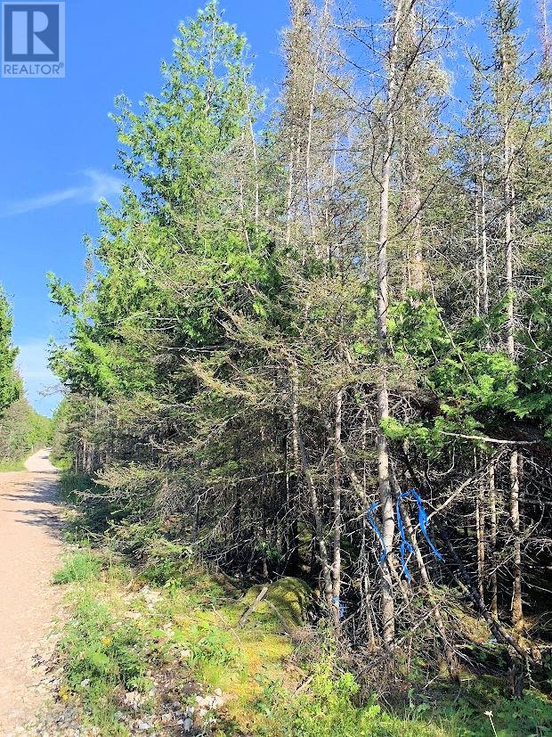 Pl14c11 Mills Watts Lake Road, Evansville, Ontario  P0P 1E0 - Photo 3 - 2123735