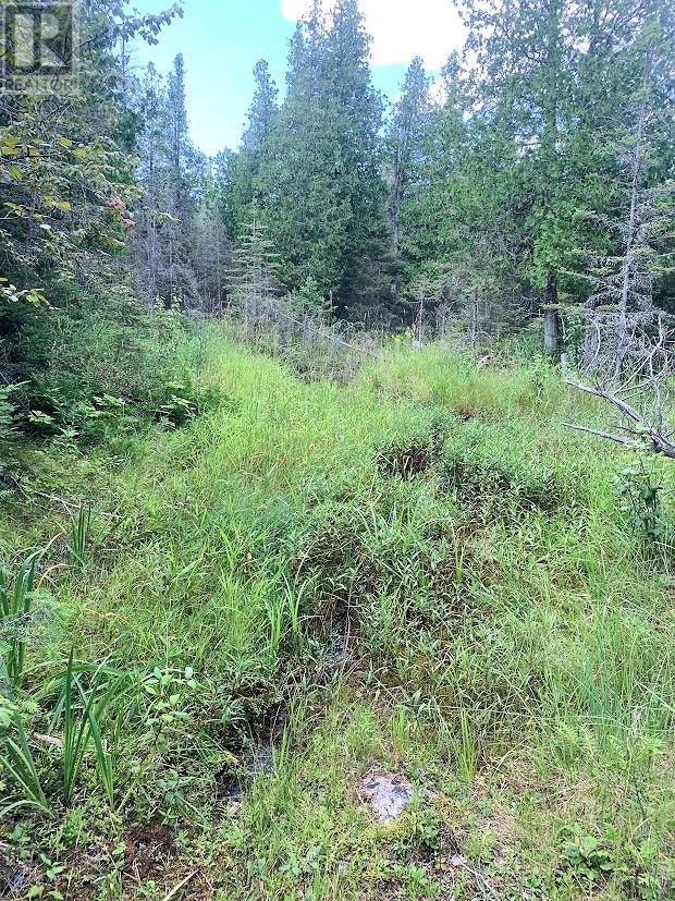 Pl14c11 Mills Watts Lake Road, Evansville, Ontario  P0P 1E0 - Photo 8 - 2123735