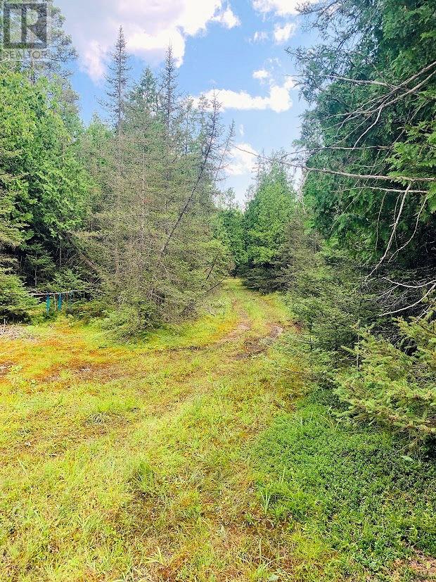 Pl14c11 Mills Watts Lake Road, Evansville, Ontario  P0P 1E0 - Photo 6 - 2123735