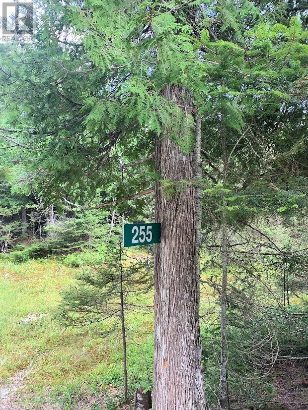 Pl14c11 Mills Watts Lake Road, Evansville, Ontario  P0P 1E0 - Photo 5 - 2123735