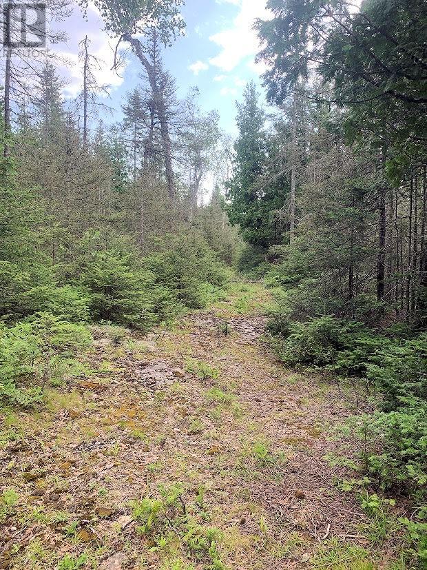 Pl14c11 Mills Watts Lake Road, Evansville, Ontario  P0P 1E0 - Photo 9 - 2123735