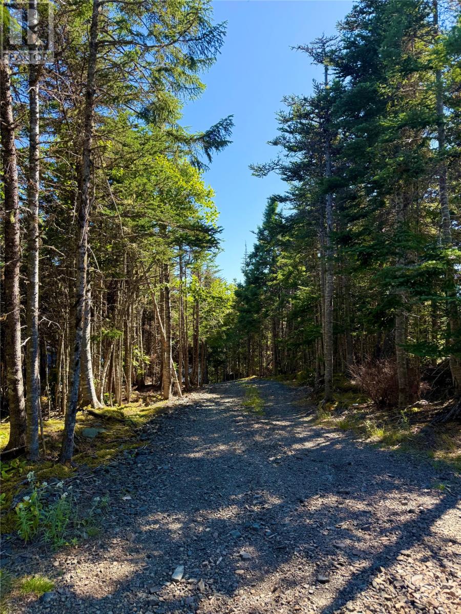 0 Lethbridge Forest Access Road, Meeting Pond, Newfoundland & Labrador  A0C 1B0 - Photo 23 - 1289605