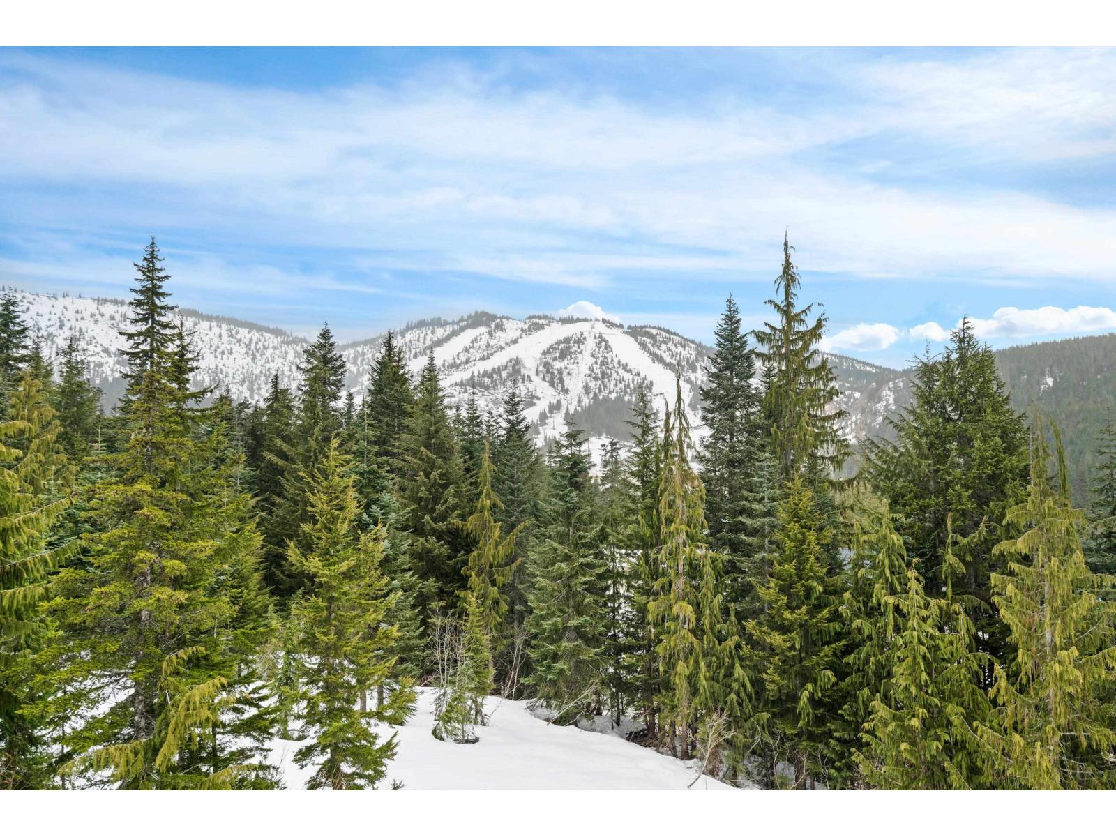 20758 Edelweiss Drive, Mission, British Columbia  V0M 1A1 - Photo 4 - R3040116