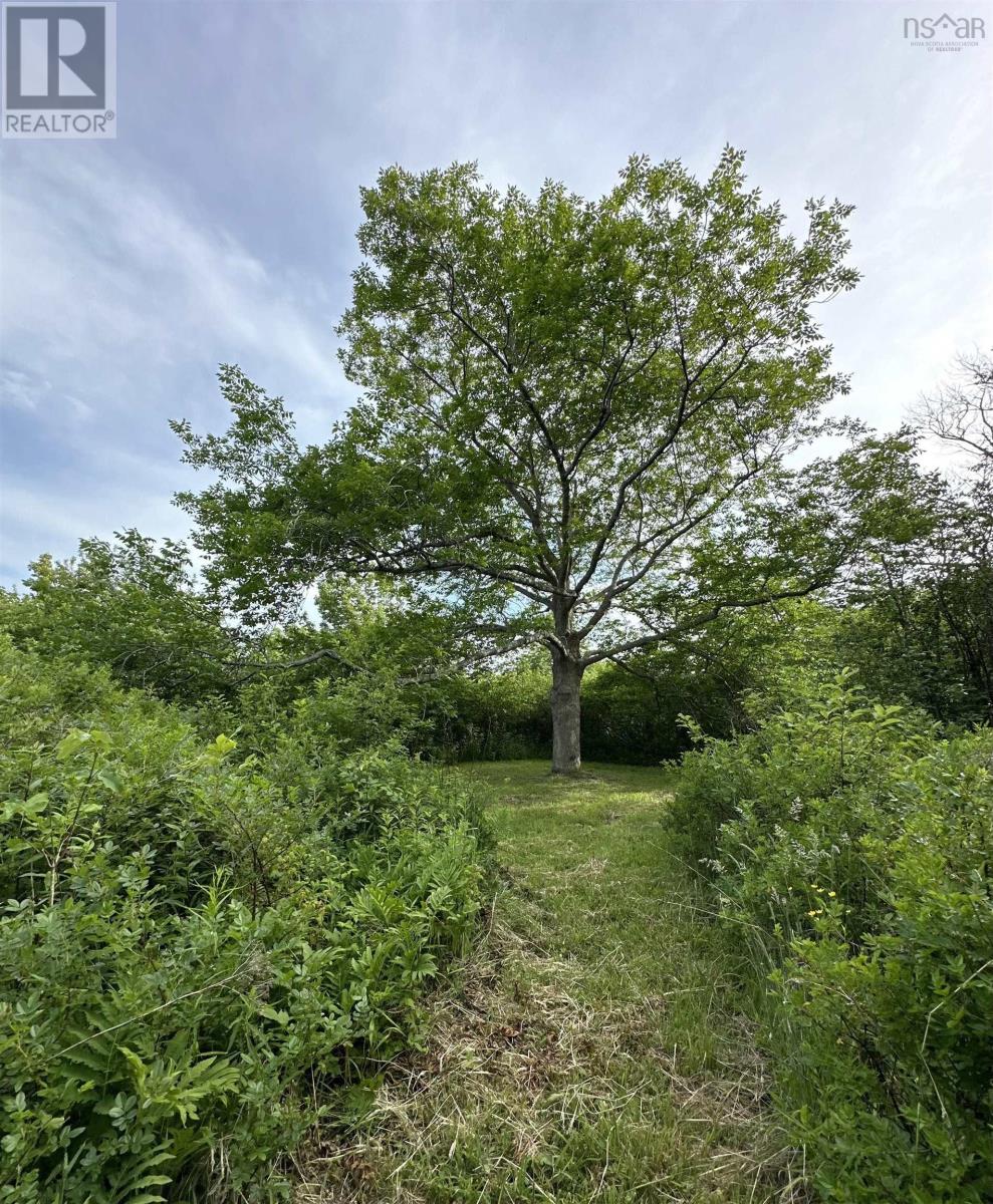 9482 Highway 217, Waterford, Nova Scotia  B0V 1A0 - Photo 47 - 202506781