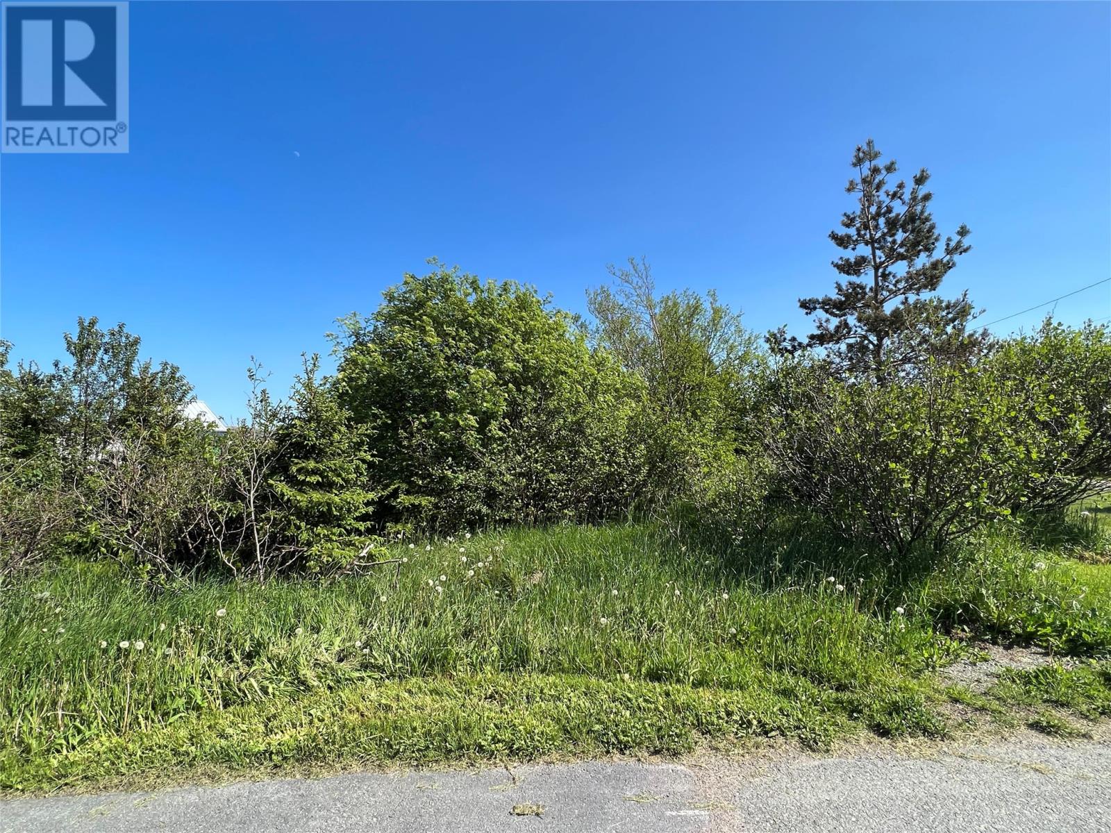 222 Neck Road, Bay Roberts, Newfoundland & Labrador  A0A 1G0 - Photo 1 - 1289661