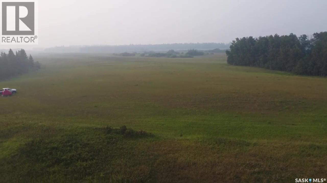 124 Acres - Preeceville Rm 334, Preeceville Rm No. 334, Saskatchewan  S0A 0C4 - Photo 7 - SK016563