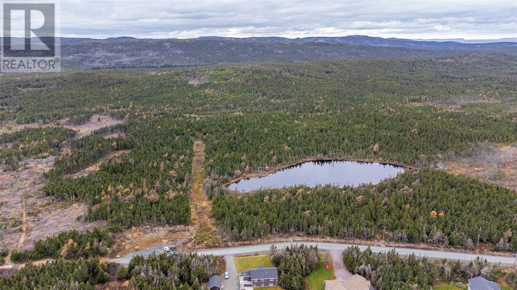 0 Medalsis Pond Road, Flatrock, Newfoundland & Labrador  A1K 1C9 - Photo 2 - 1289668