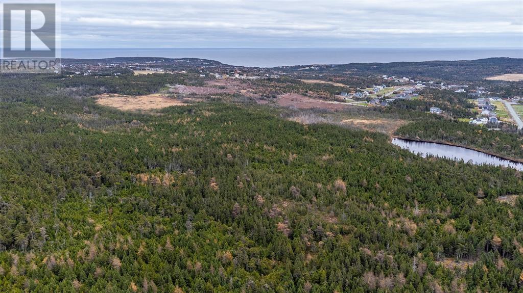 0 Medalsis Pond Road, Flatrock, Newfoundland & Labrador  A1K 1C9 - Photo 5 - 1289668