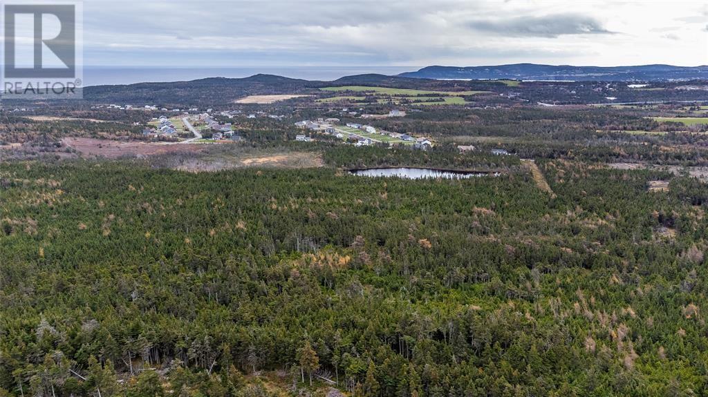 0 Medalsis Pond Road, Flatrock, Newfoundland & Labrador  A1K 1C9 - Photo 7 - 1289668