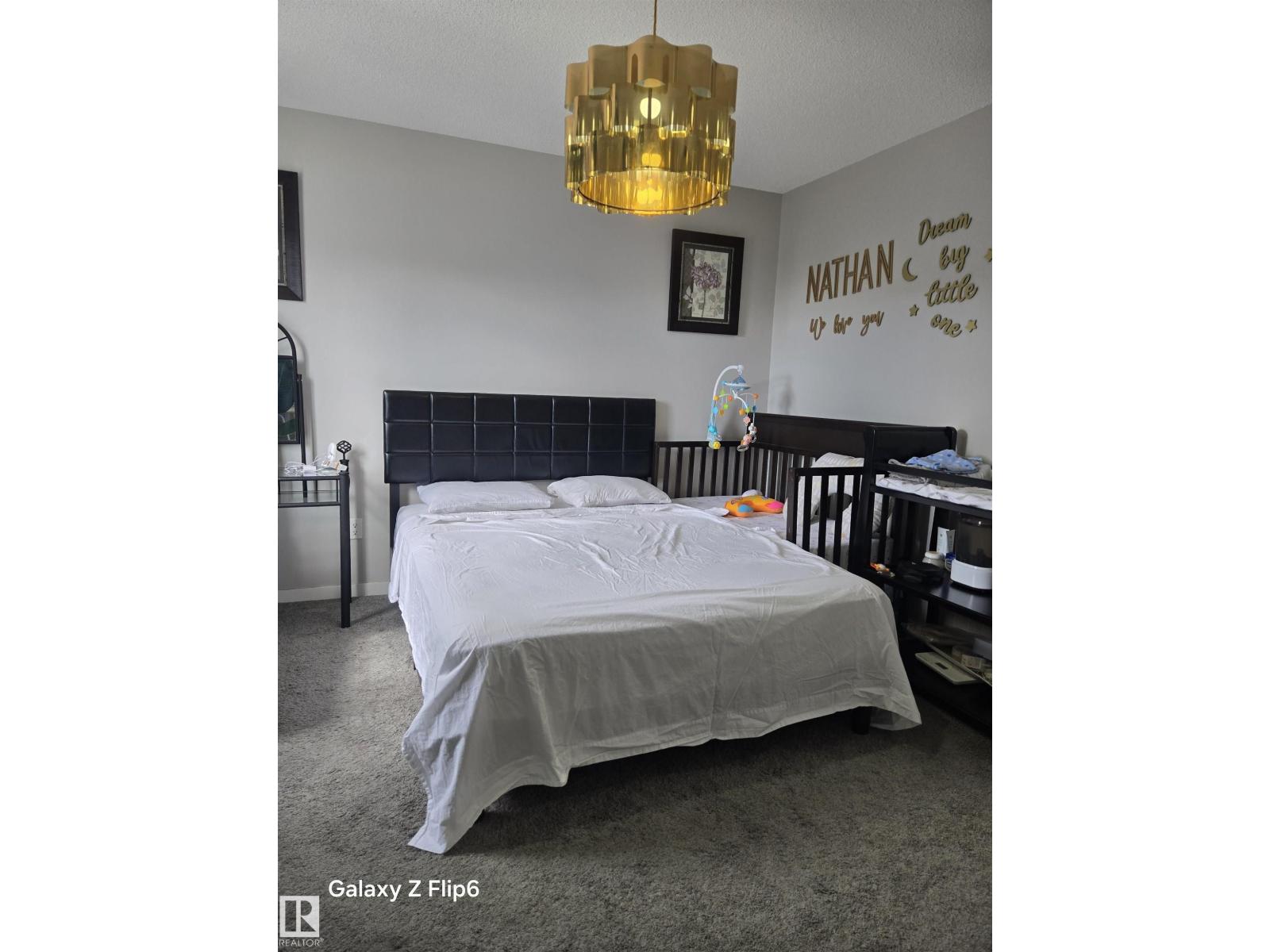 1248 Rosenthal Bv Nw, Edmonton, Alberta  T5T 7N6 - Photo 13 - E4454594